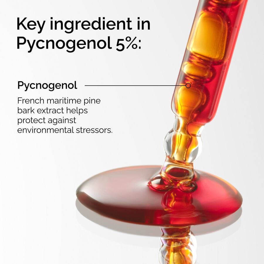 Pycnogenol 5% - US 6590
