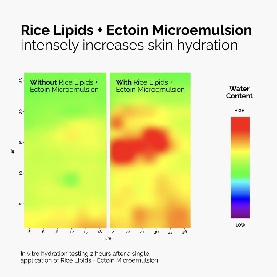 Rice Lipids + Ectoin Microemulsion - US 1033